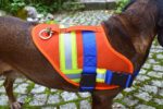 Stopovací postroj Aduro - veľ. S – Obrázok 2